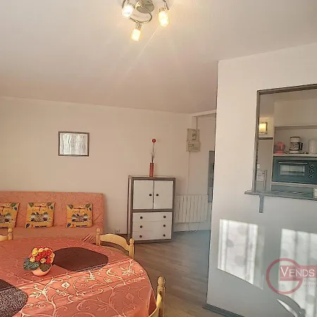 F2 Lumineux Avec Balcon, Proche Centre Et Thermes, Animaux Acceptes, Wifi Gratuit - Fr-1-451-21 Apartment Lamalou-les-Bains