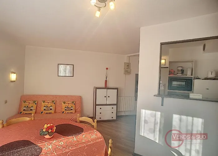F2 Lumineux Avec Balcon, Proche Centre Et Thermes, Animaux Acceptes, Wifi Gratuit - Fr-1-451-21 Διαμέρισμα Lamalou-les-Bains